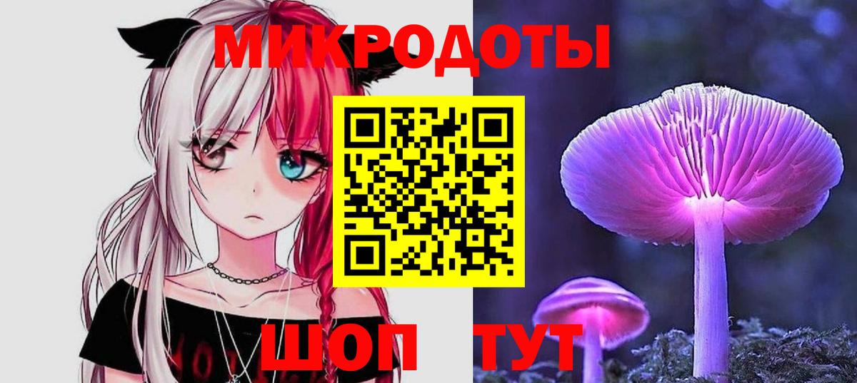 Галлюциногенные грибы Psilocybe Санкт-Петербург