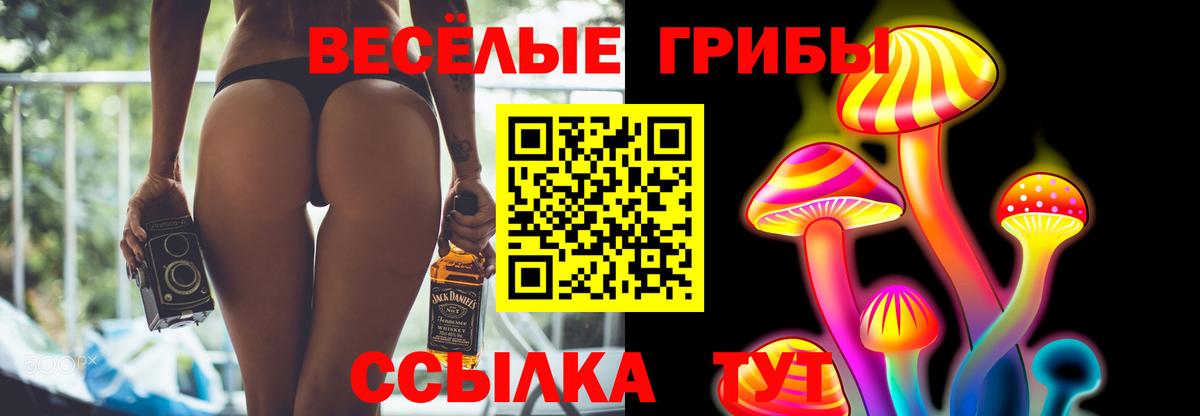 Санкт-Петербург  Псилоцибиновые грибы Psilocybe  сколько стоит  Вход с VPN 